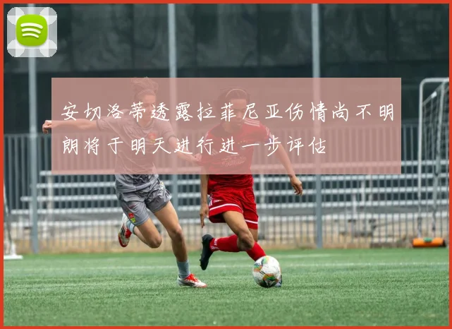 安切洛蒂透露拉菲尼亚伤情尚不明朗将于明天进行进一步评估